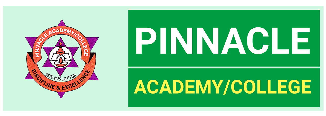 Pinnacle Academy